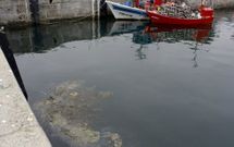 En el puerto cormel�n se ha detectado un vertido incontrolado que podr�a llevar as� a�os. 