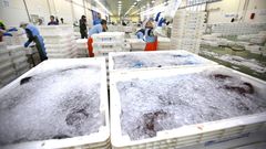 La lonja de Vigo, en una imagen de archivo, antes de la crisis del coronavirus