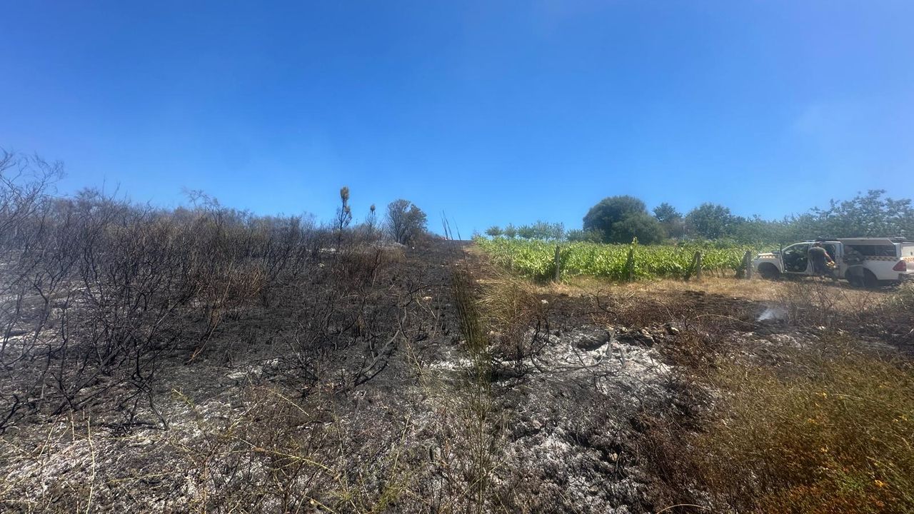 Dos detenidos por causar 17 incendios forestales en Vilalba este verano
