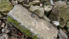 Algunas de las piedras labradas que asoman en la escombrera