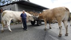 Dos toros de dos toneladas de peso cada uno en Xove