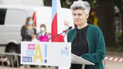 La diputada Mercedes Queixas, en un acto electoral del BNG