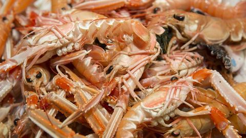 Cigalas, por las nubes, entre 33 y 50 euros el kilo seg�n su tama�o en las plazas