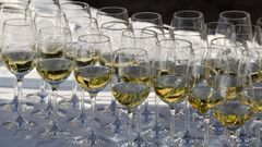 Copas de vino albari�o