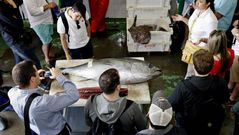 La �ltima visita a la lonja