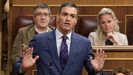 Pedro S�nchez, durante la sesi�n de control al Gobierno.