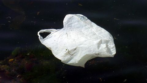 �Pagar�as treinta c�ntimos por una bolsa de pl�stico?