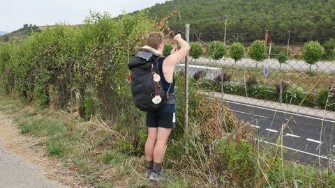 Decorando con pequeas cruces las vallas de la autopista