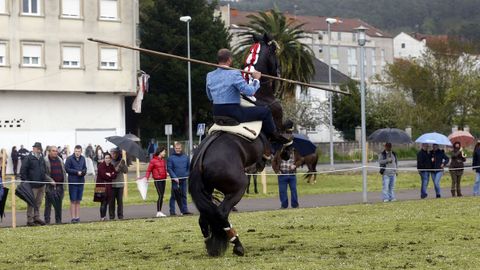 Feria caballar en las Fiestas de San Marcos 2019