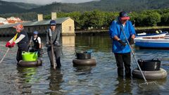 Mariscadores a pie de Muros