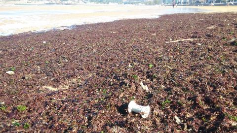 Basura arrastrada por la marea a la playa de San Lorenzo de Gij�n.Un carrete de hilo