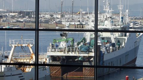 Arrastreros congeladores amarrados en Vigo, adonde llegan las capturas de la flota argentina de capital gallego