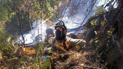 El incendio de Quiroga, en fotos