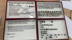 Panel con las especies polinizadoras que se trabajan en las reservas de Terras do Mi�o y de O Ancares