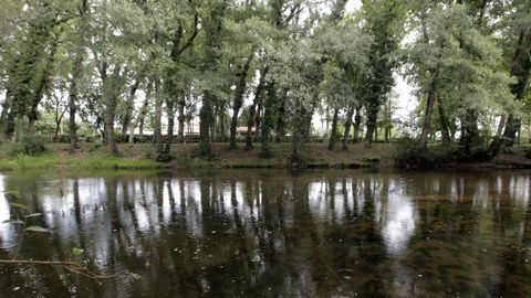 La actual zona recreativa, vista desde el lado en el que est proyectada la playa fluvial