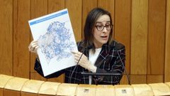 La conselleira Ethel V�zquez, durante su comparecencia parlamentaria