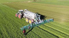 Ganader�a Busto Corz�n. Aplicaci�n del pur�n mediante tubos suspendidos: se deposita en la superficie. 