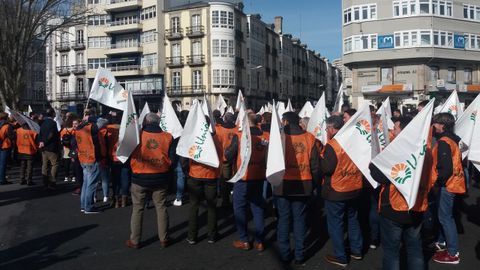 Exigen tambin un real decreto basado en la estructura del sector lcteo para ampliar esa frmula al resto de sectores de produccin.