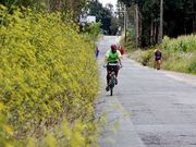 El plan pretende contribuir a la mejora del Camino. 