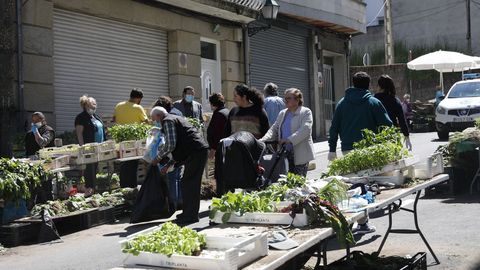 Mercado de plantas en O Carballi�o