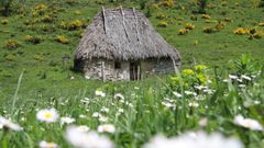 Cabana de teito en valle de Lago