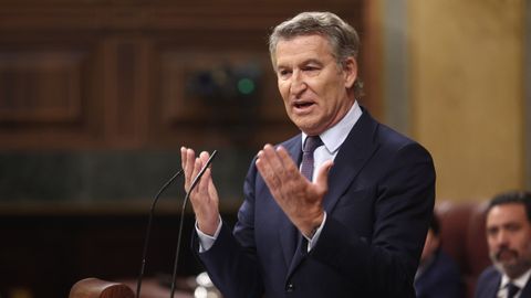El l�der del PP, Alberto N��ez Feijoo, durante su intervenci�n en el Congreso