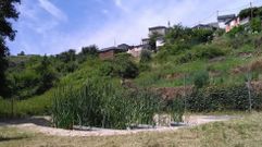 El sistema de depuraci�n con plantas macr�fitas qued� inservible tras una riada