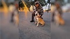 En la actualidad, el animal vive feliz junto a su nuevo due�o, al que le gusta darle largos paseos.