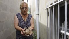 Mar�a Celina Josenje muestra los restos del nido que tuvo que quitar ella misma del aler�n de su vivienda. Lo hizo con un palo y sprais antimosquitos desde la ventana del ba�o, que tiene barrotes, y que estaba cerca del nido