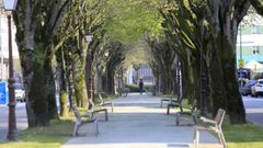 Los hechos ocurrieron en la avenida Ram�n Ferreiro