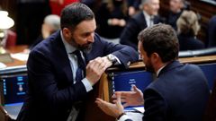 Santiago Abascal y Pablo Casado, este martes, durante la sesin constitutiva del Congreso de los Diputados