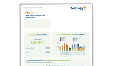 Una factura de la luz ficticia.