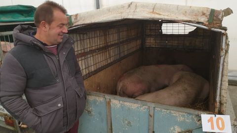 Feira do porco da ceba en Cospeito: Javier Verdes, vendedor de rbol (Vilalba).