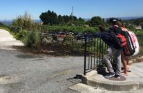 El fuego afect� a los hierbajos de una cuneta. 