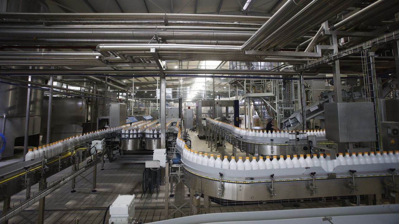 Grupo Lence facturó 296,8 millones en el 2025 tras elevar sus ventas un 4,2 %