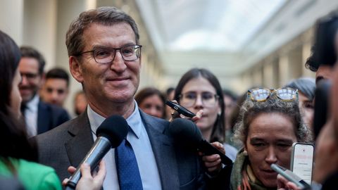 El presidente del PP, Alberto Nez Feijoo, atendiendo a los medios tras un pleno extraordinario en el Congreso de los Diputados.