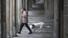 Imagen de archivo de una persona paseando a su perro en Santiago de Compostela.
