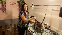 Vanessa Ruiz cerrar el prximo 31 de octubre