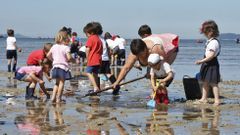 Mariscadores por un d�a