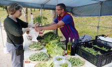 Jud�as, pimientos y lechugas son los productos de temporada con m�s salida. 