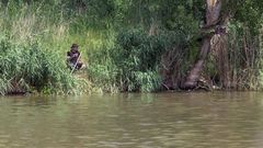 Agentes del Seprona rastrean la zona de Pesqueruela, en la localidad vallisoletana de Simancas, en busca del cocodrilo