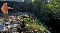 El vertedero se encuentra junto a la pared exterior del cementerio en una hondonada boscosa llena de zarzas.