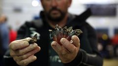 Al rico percebe en Agui�o