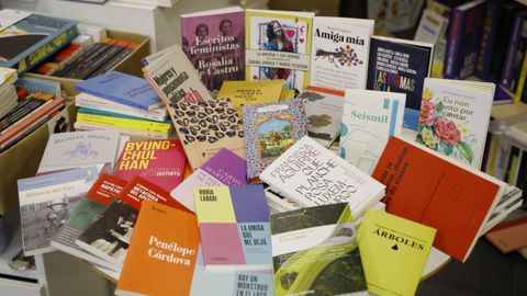 Varios libros en la librer&iacute;a Berbiriana de A Coru&ntilde;a