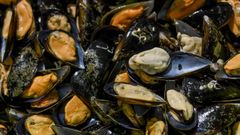 Mejillones en un cocedero (foto de archivo), adonde los gallegos llegan y de donde salen con todas las garantas sanitarias gracias a los controles diarios del Intecmar