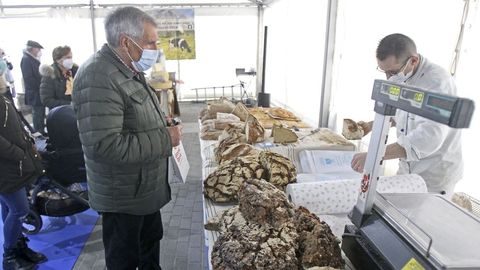 Feria gastronómica O Mellor da Terra