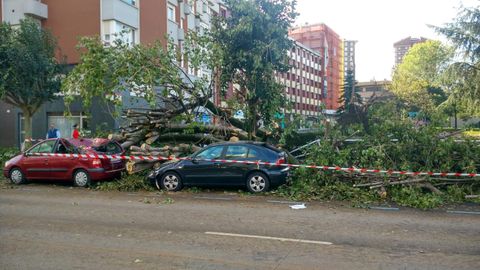 Un arbil cae sobre tres coches en la calle Carlos Marx, de Gijn, por el temporal de viento