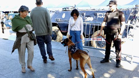 La patrulla canina está presente en la muestra