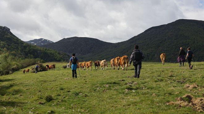 Inicio de la ruta de la Transhumancia organizada por La Carqueixa desde Piornedo