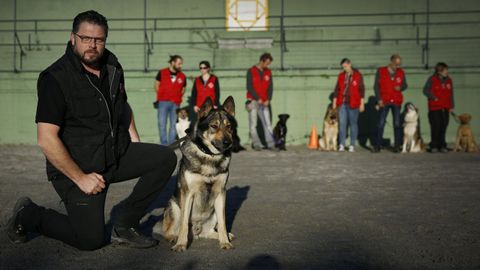 MARIANO CHICO, DURANTE UNA SESI�N DE ADIESTRAMIENTO DE PERROS 
